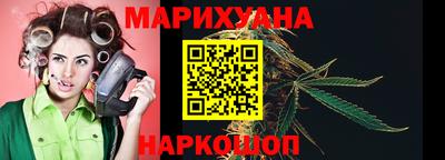 apvp Можга