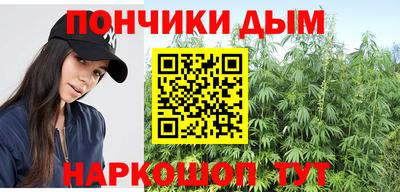 apvp Можга